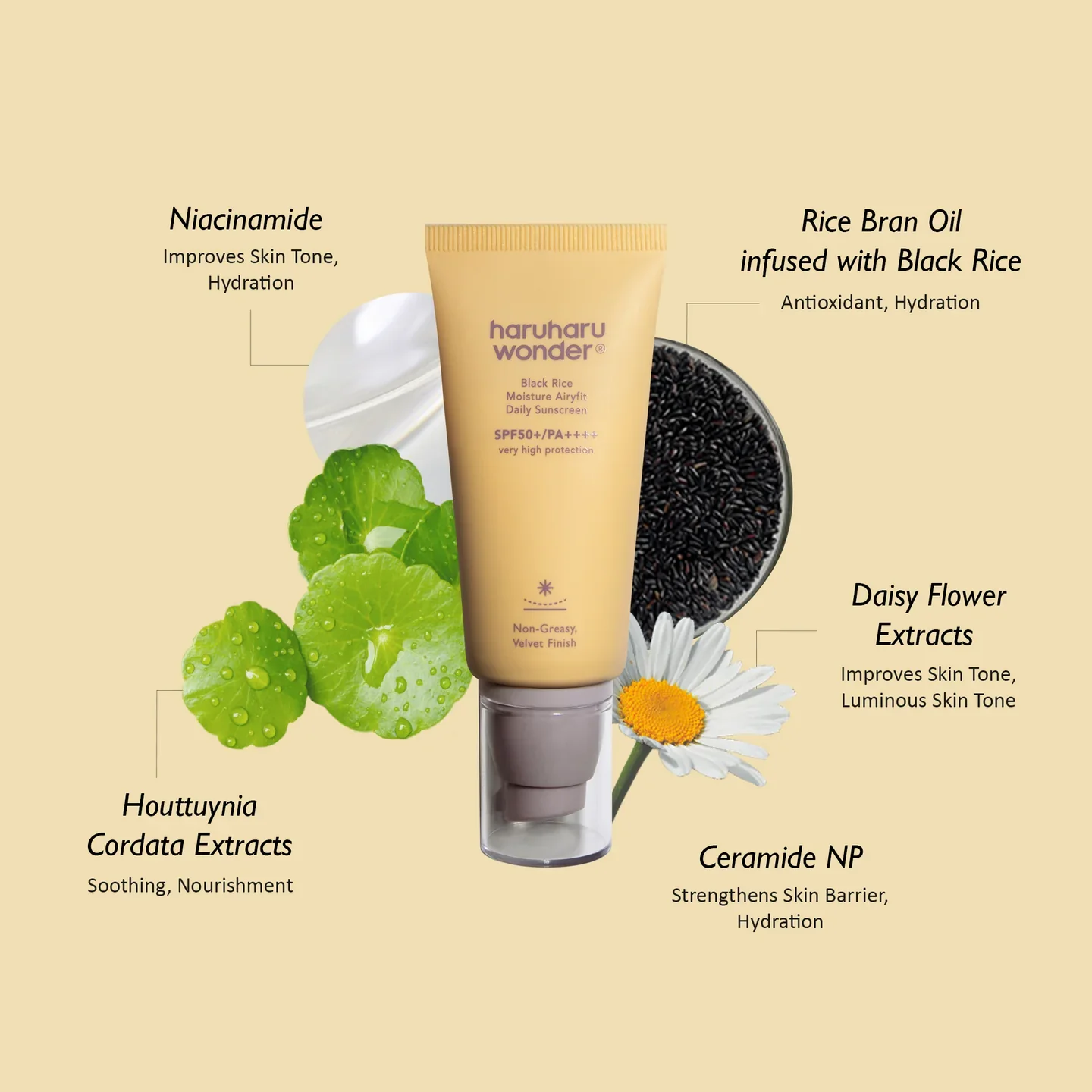 Haruharu Wonder Black Rice Moisture Airyfit Daily Sunscreen (50ml) - Image 3